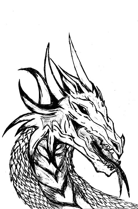 dragon artwork black and white|realistic dragon black and white.